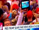 david malton supporting trump in david malton supporting trump in